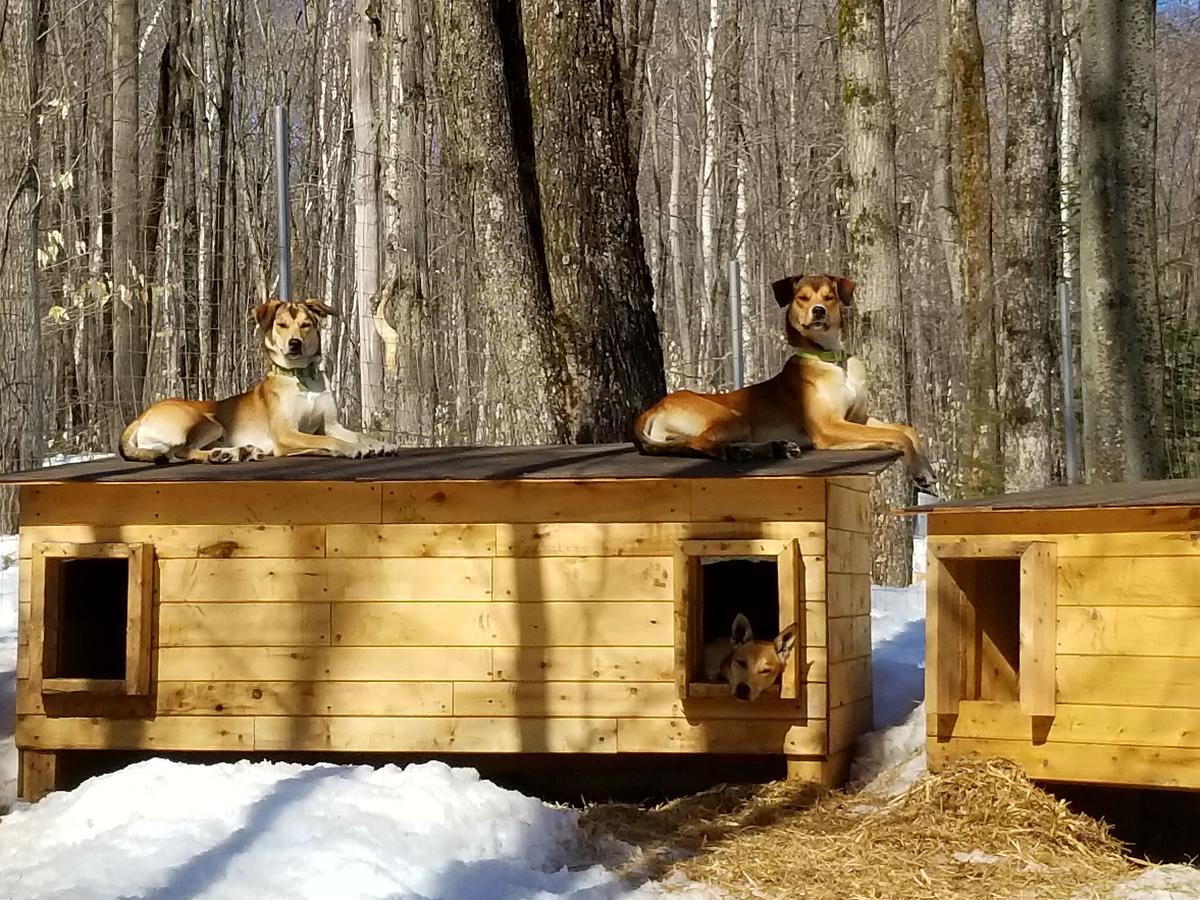 Les Cabines Nordik Des Piles Villa Saint-Jean-des Piles Eksteriør bilde