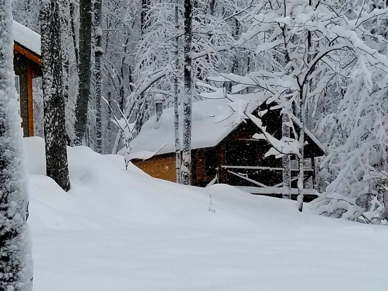 Les Cabines Nordik Des Piles Villa Saint-Jean-des Piles Eksteriør bilde