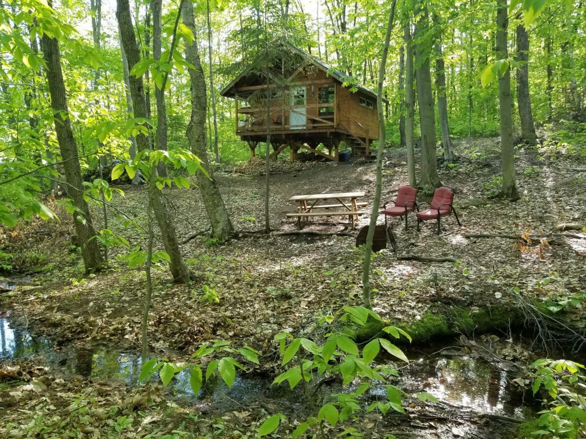 Les Cabines Nordik Des Piles Villa Saint-Jean-des Piles Eksteriør bilde
